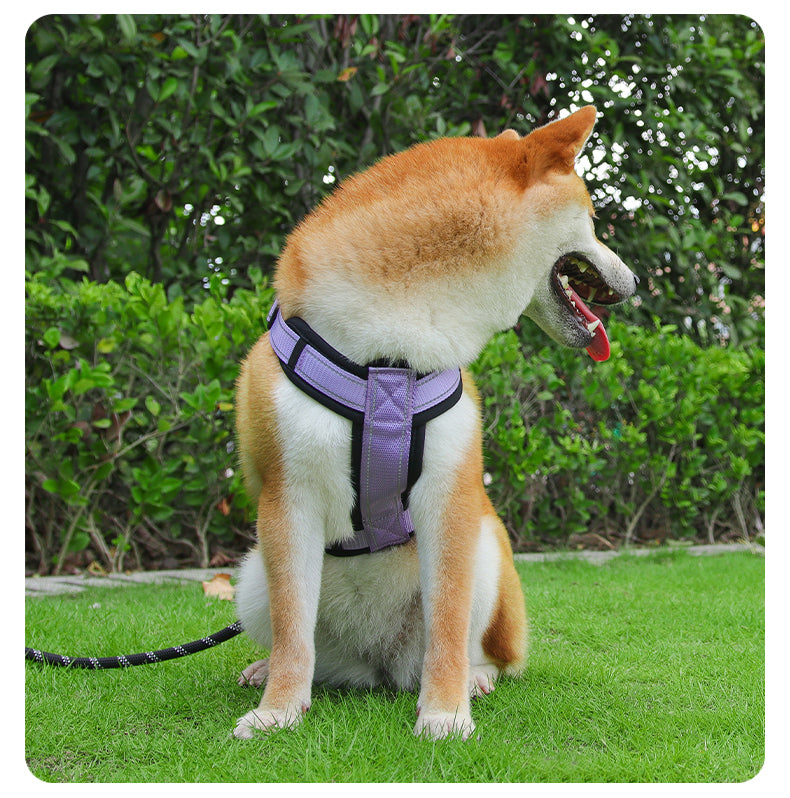 Core Walk Adjustable No-Pull Dog Harness