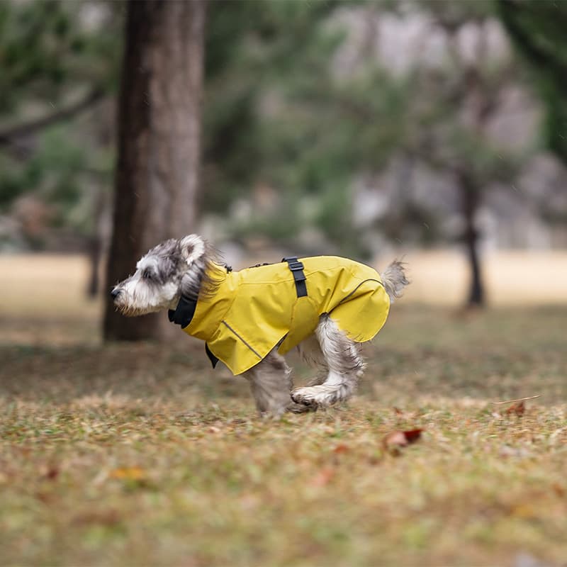 Breathable Dog Adventure Rain Coat