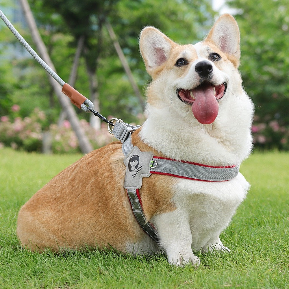City Halo Reflective Harness & Leash Set