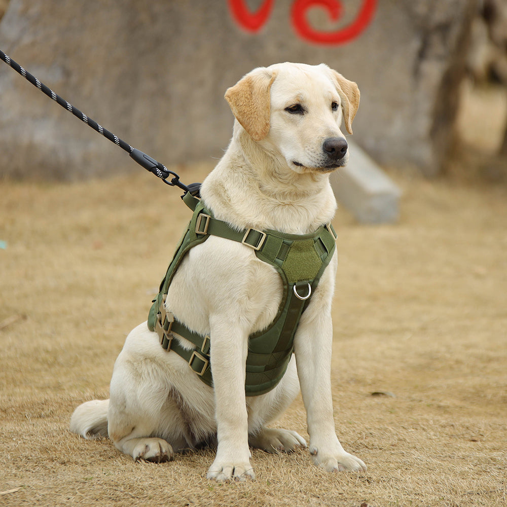 Summit Control Tactical Dog Harness with Handle