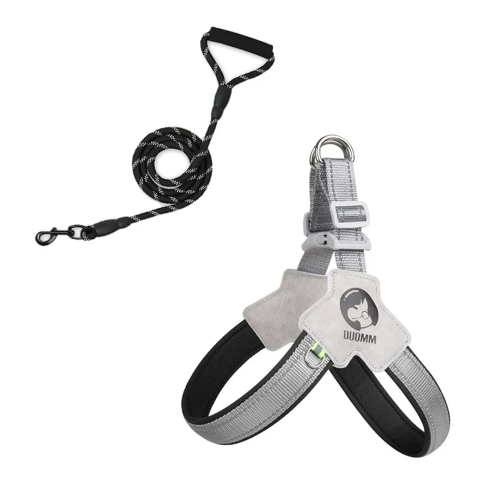 Daybeam Reflective Harness & Leash Set