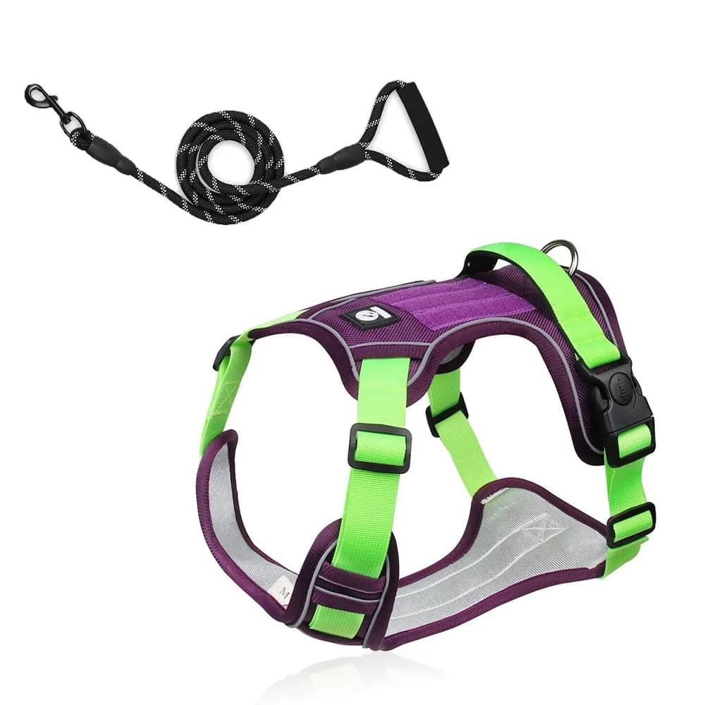 Motion Arc Reflective Harness & Leash Set