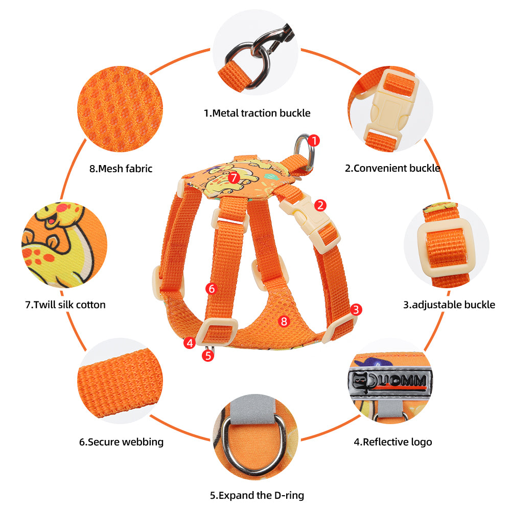 Playful Print Step-In Pet Harness and Leash Set