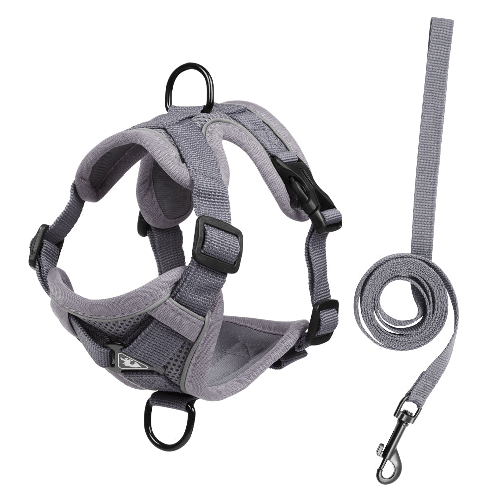 Feather Fit Breathable Pet Harness and Leash Set