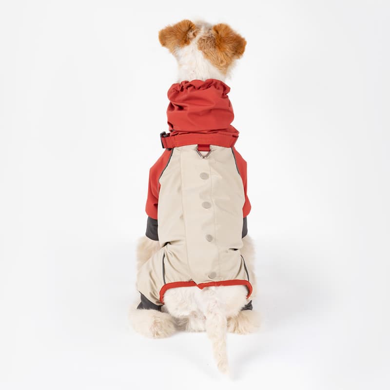 All-Weather Outdoor Adventure Dog Jacket