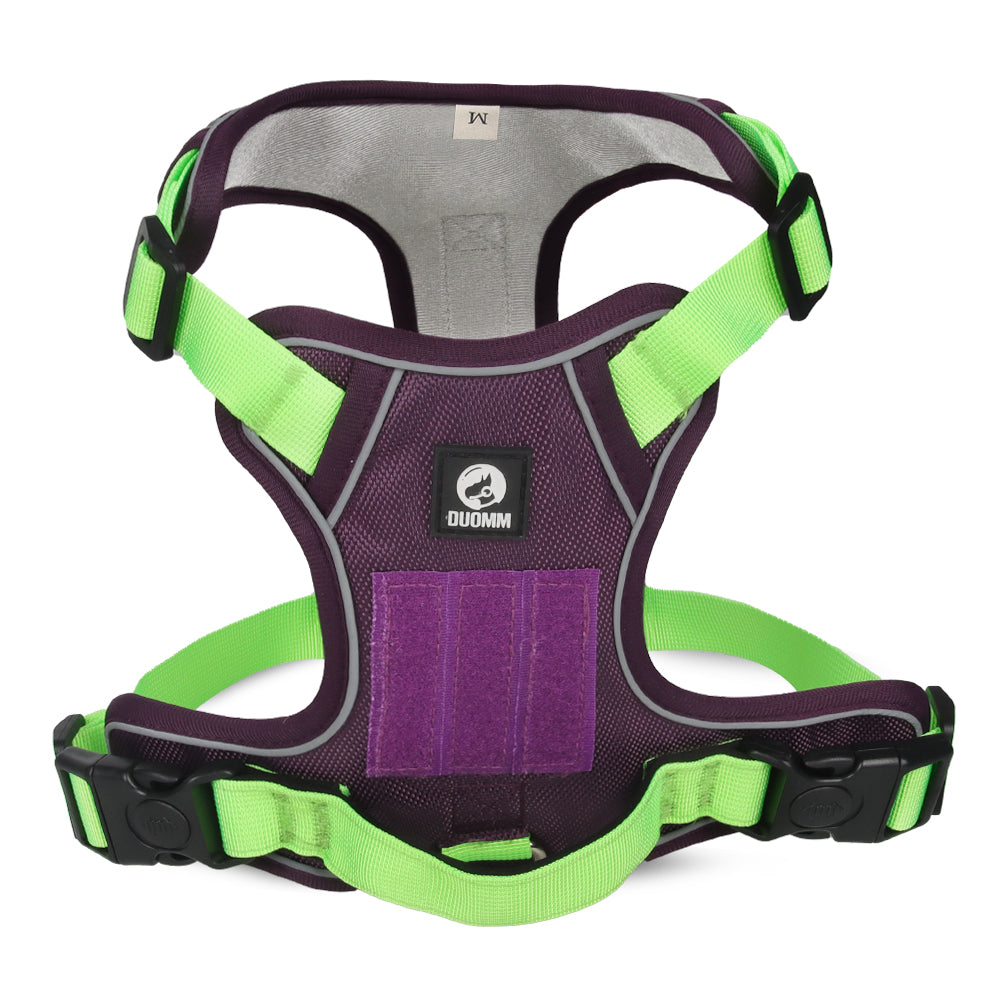 Motion Arc Reflective Harness & Leash Set