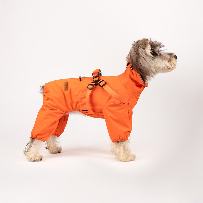 All-Weather Dog Adventure Suit