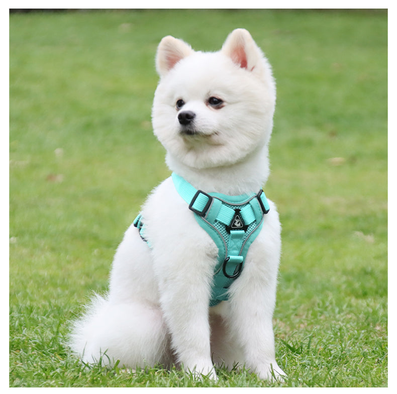 Feather Fit Breathable Pet Harness and Leash Set