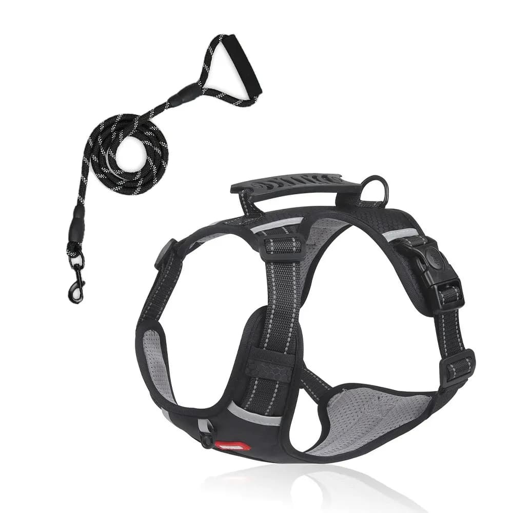 Northpath Control Dog Harness & Leash Set