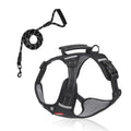 Northpath Control Dog Harness & Leash Set