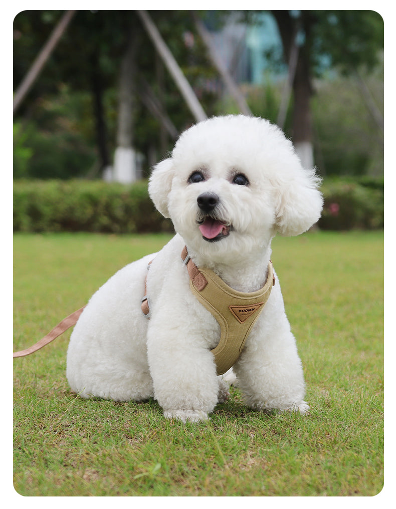 Soft Form Escape-Resistant Pet Harness and Leash Set