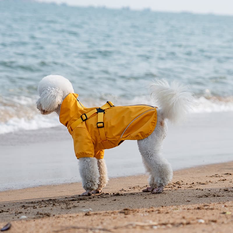 Breathable Waterproof Dog Rain Shell