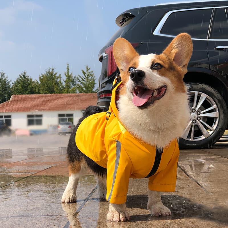 Reflective Harness Dog Rain Cape