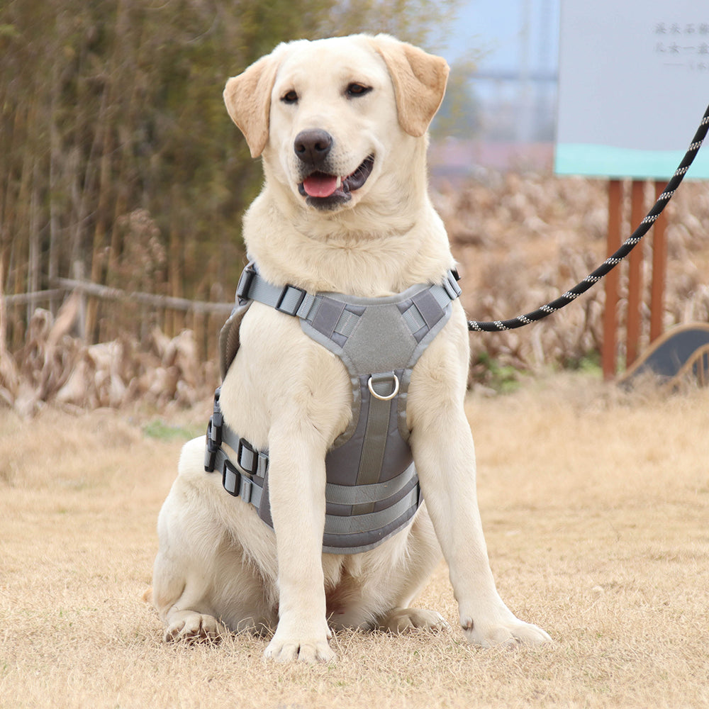 Summit Control Tactical Dog Harness with Handle