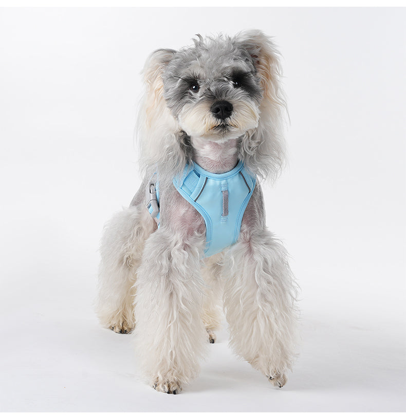Pace Ridge Reflective Dog Harness