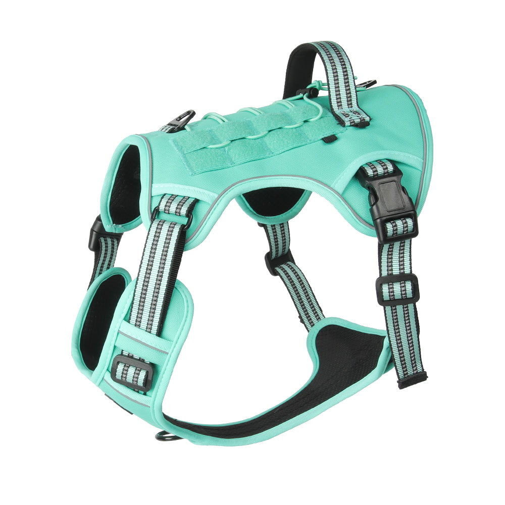 Luma Guard LED Dog Harness & Leash Set