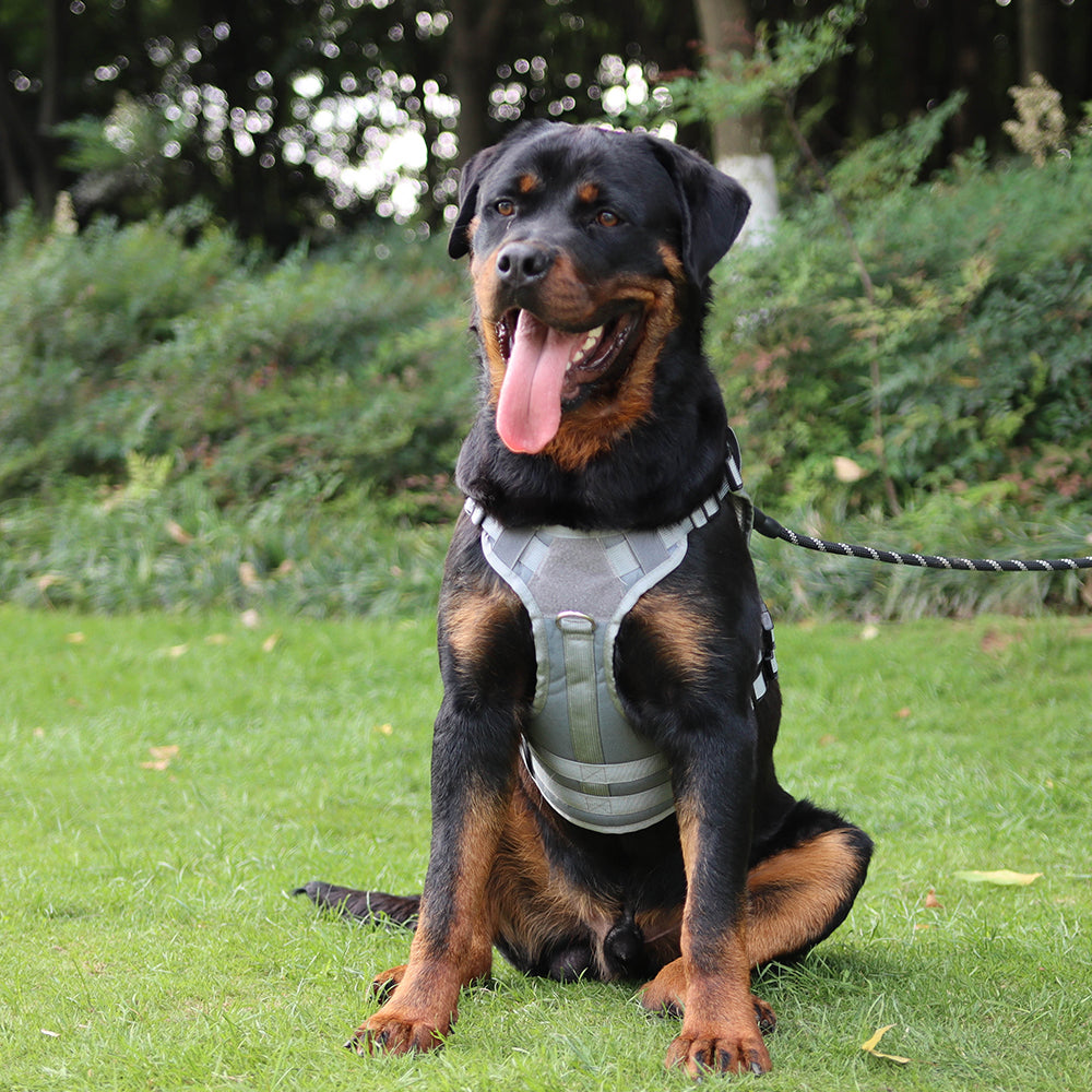 Summit Control Tactical Dog Harness with Handle