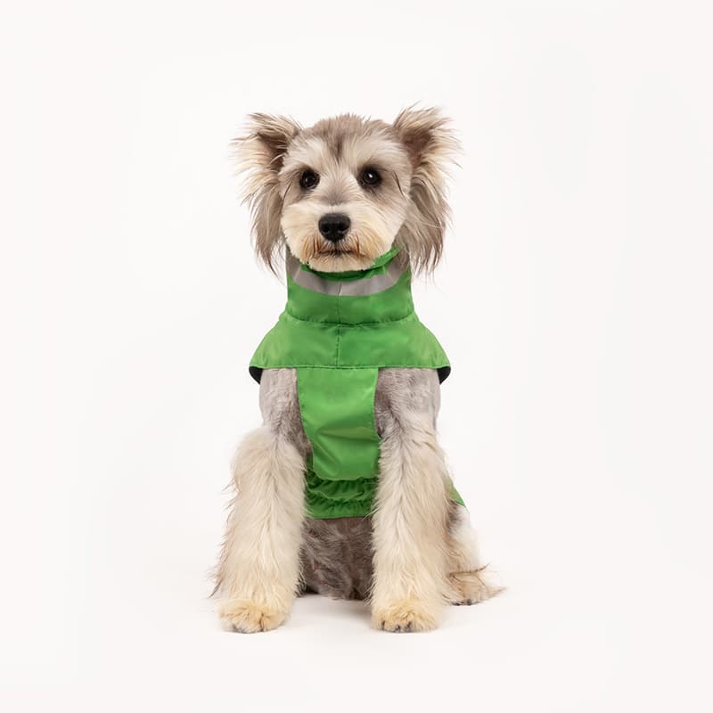 Lightweight Waterproof Dog Outdoor Jacket