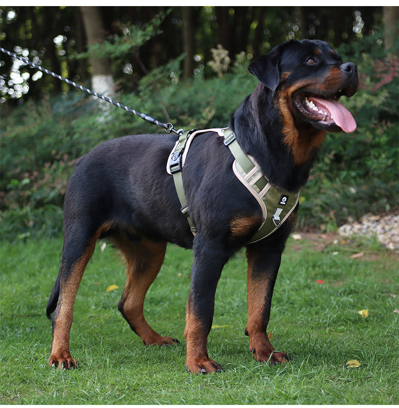 Motion Arc Reflective Harness & Leash Set