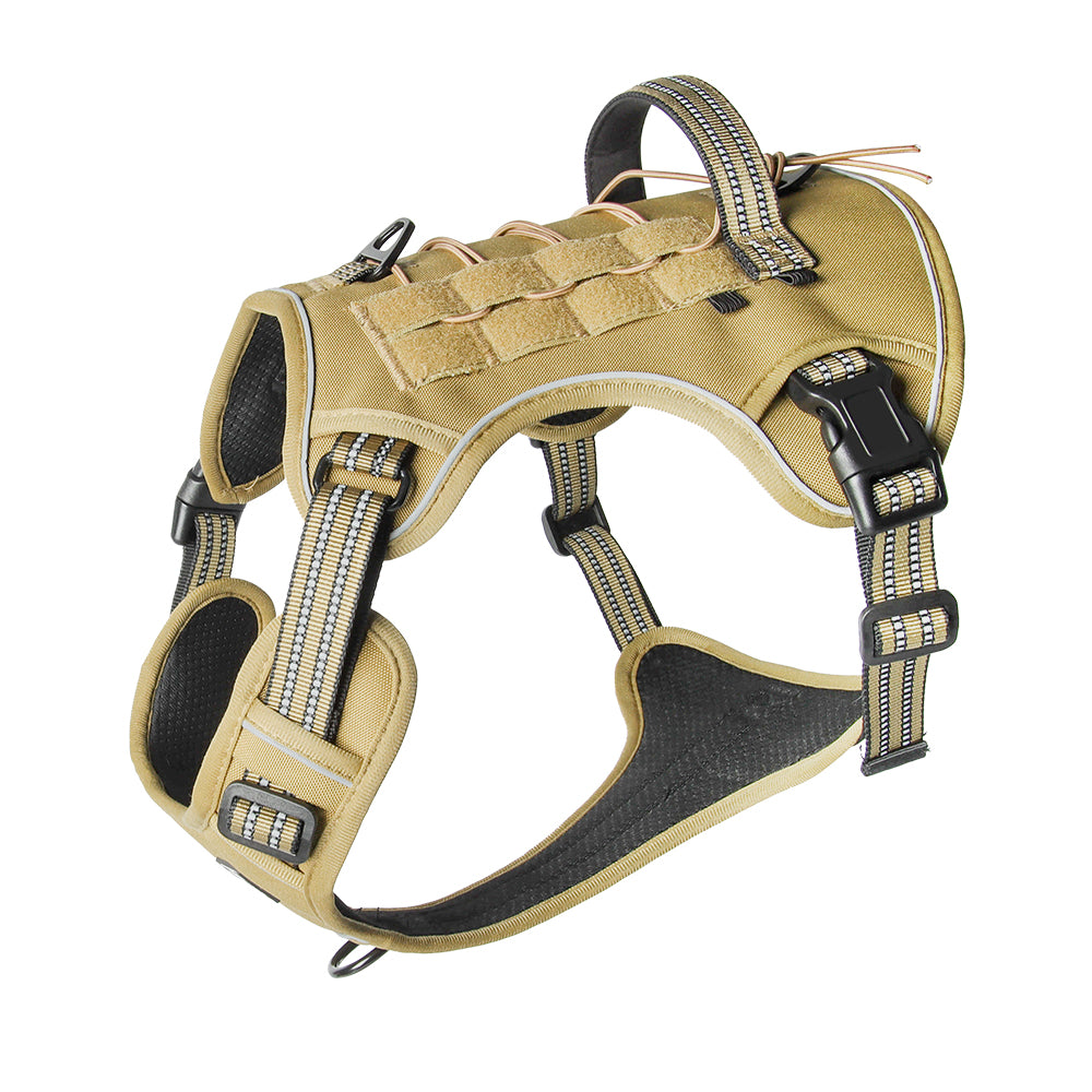 Luma Guard LED Dog Harness & Leash Set