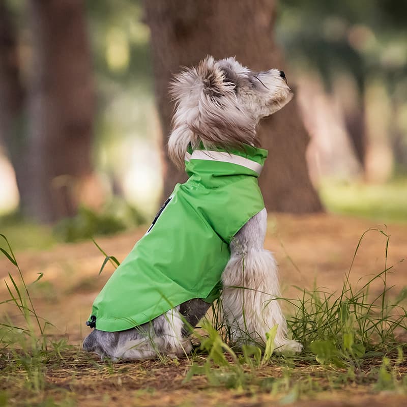 Lightweight Waterproof Dog Outdoor Jacket
