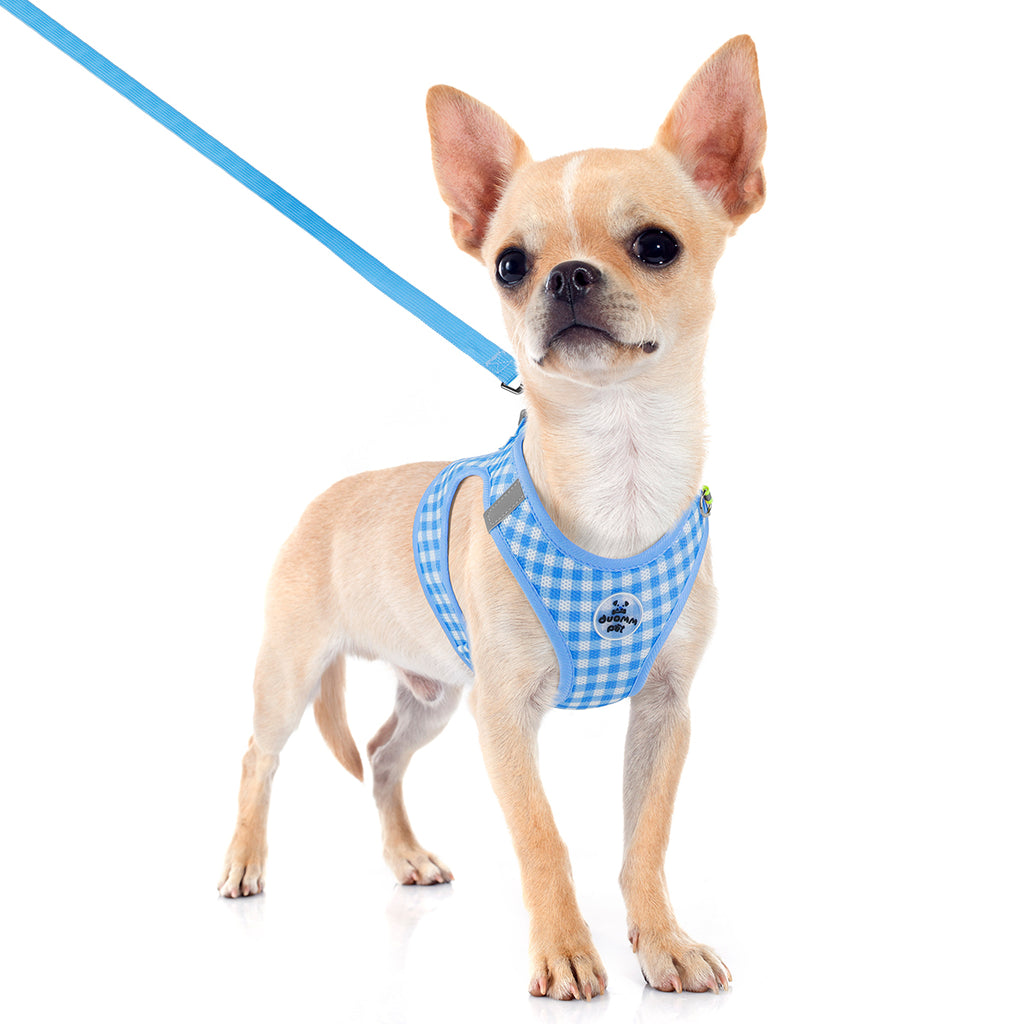 Classic Check Comfort Pet Harness and Leash Set