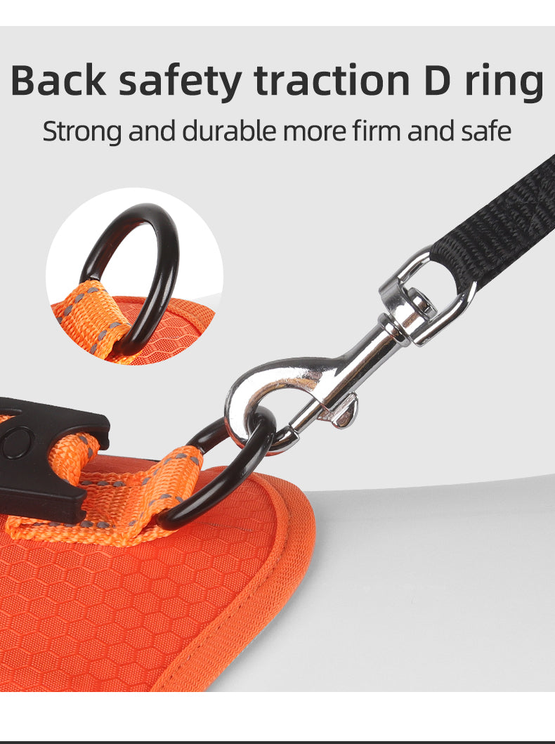 Ridge Guide Reflective Dog Harness and Leash Set