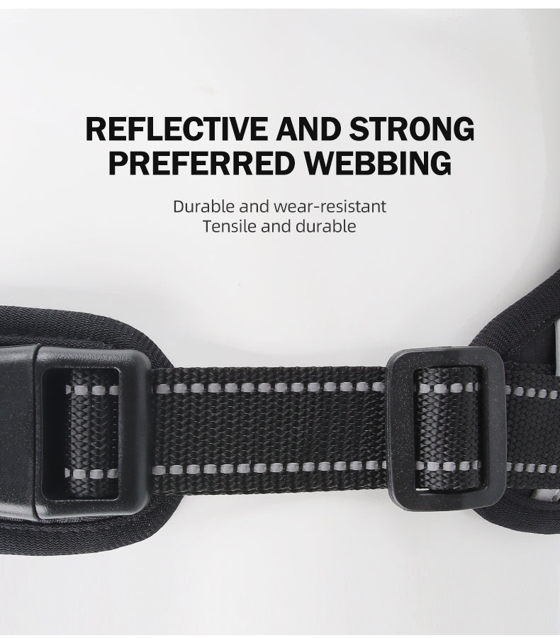 Crest Assist Reflective Dog Harness & Leash Set