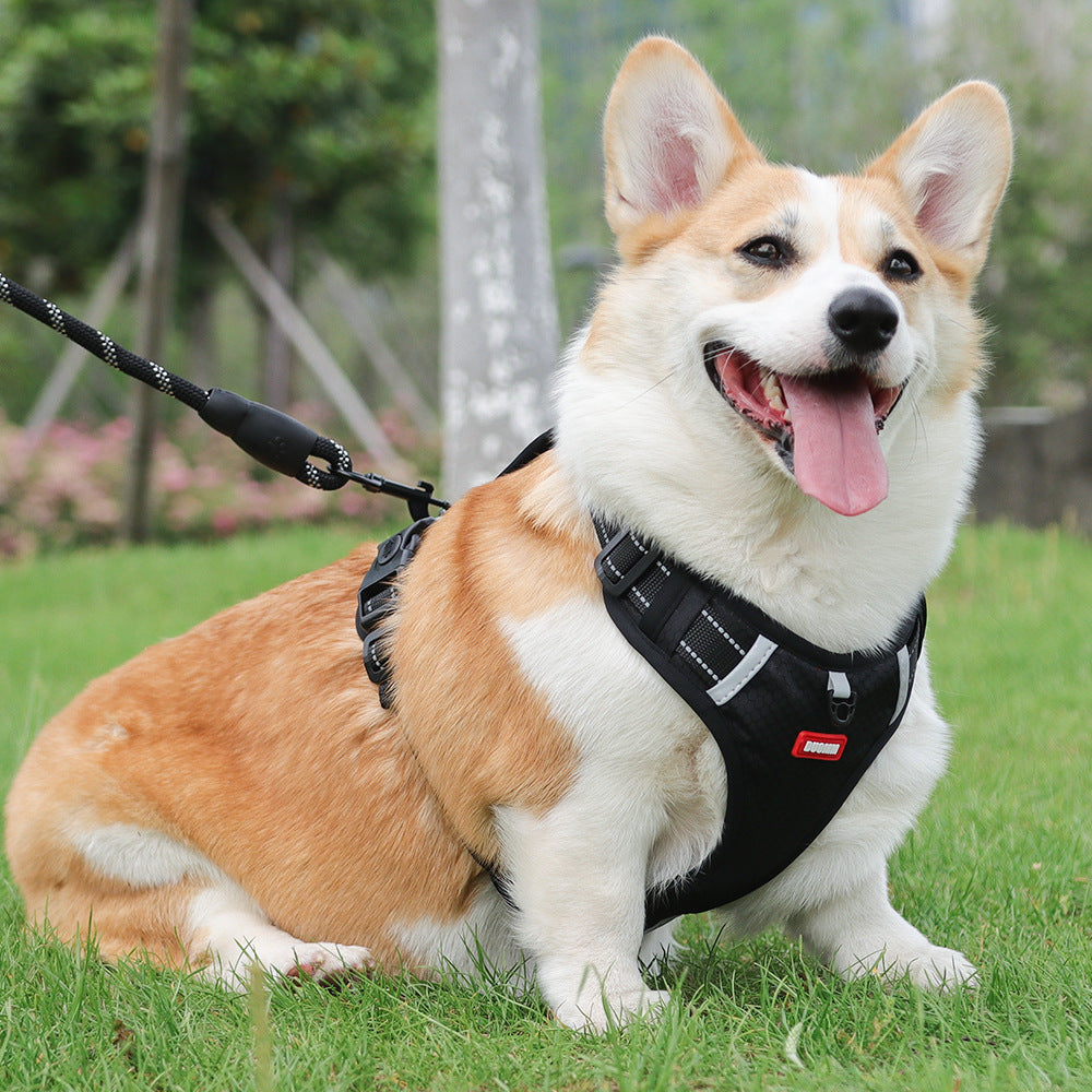 Crest Assist Reflective Dog Harness & Leash Set