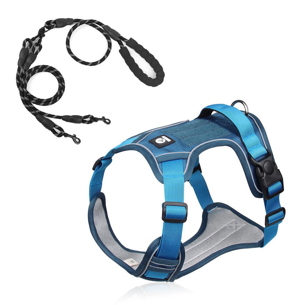 Stride Mesh Two-Dog Harness & Leash Set