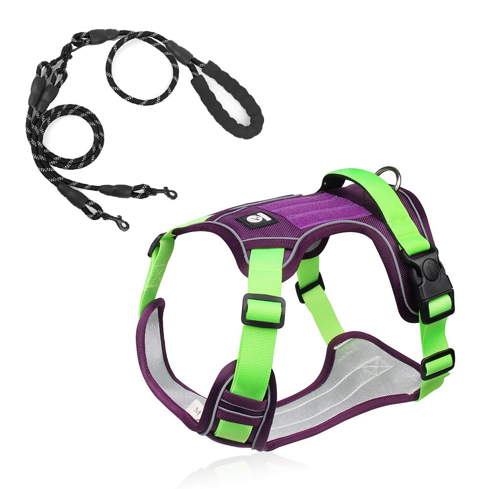 Stride Mesh Two-Dog Harness & Leash Set