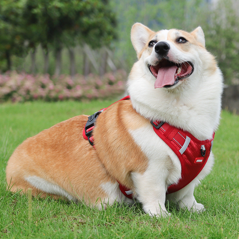 Crest Assist Reflective Dog Harness & Leash Set