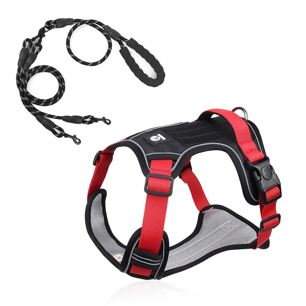 Stride Mesh Two-Dog Harness & Leash Set