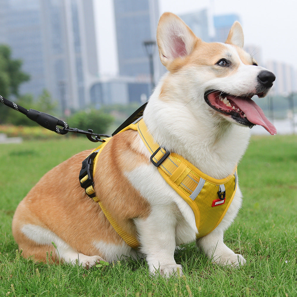 Crest Assist Reflective Dog Harness & Leash Set