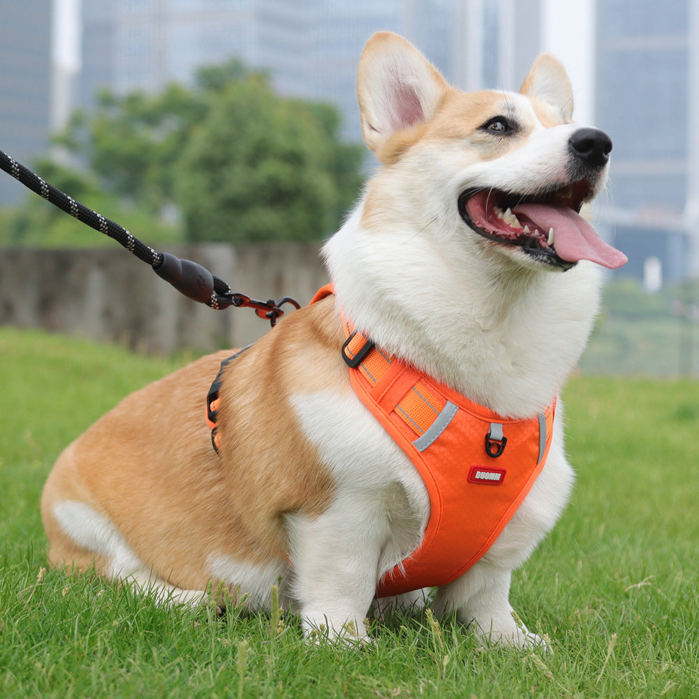 Crest Assist Reflective Dog Harness & Leash Set