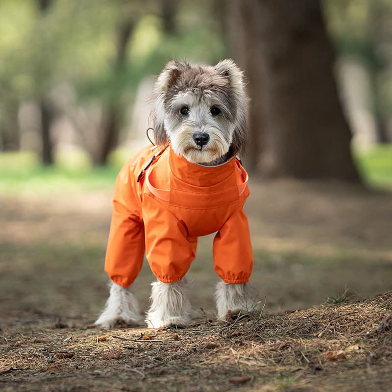 All-Weather Dog Adventure Suit