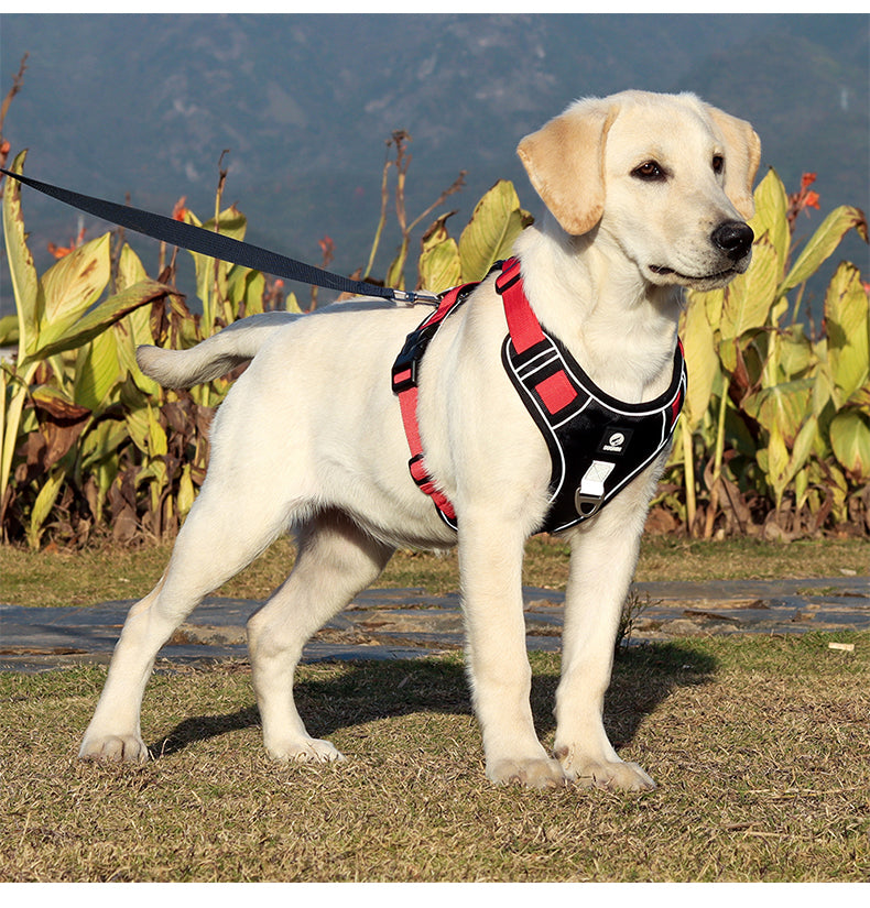 Overland Fit Padded Dog Harness and Leash Set