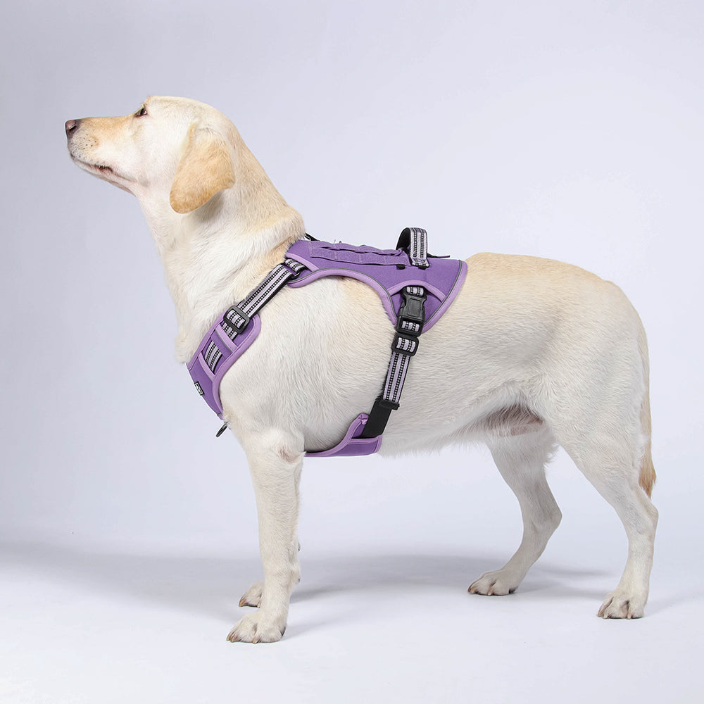Field Trek Multi-Use Training Dog Harness with Handle