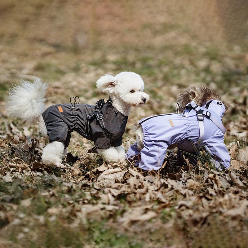 All-Weather Dog Adventure Suit