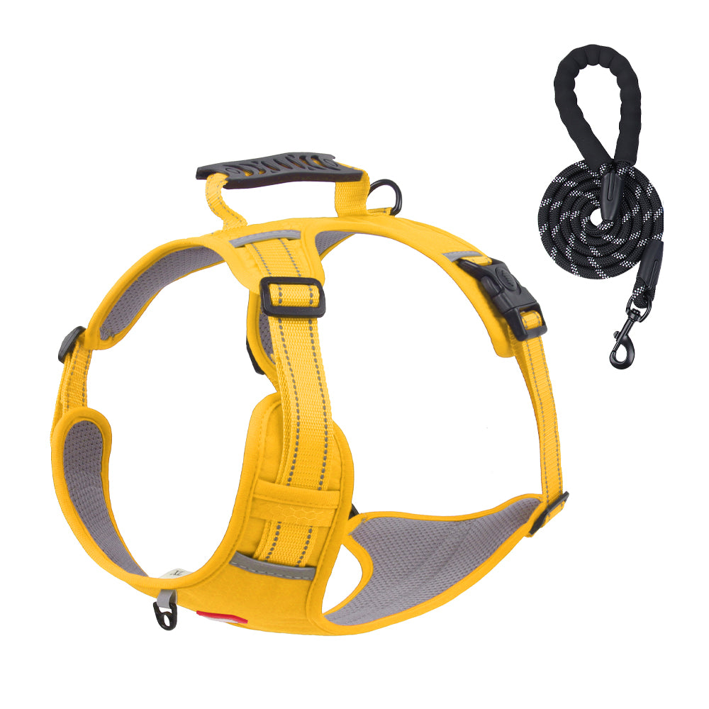 Ridge Guide Reflective Dog Harness and Leash Set