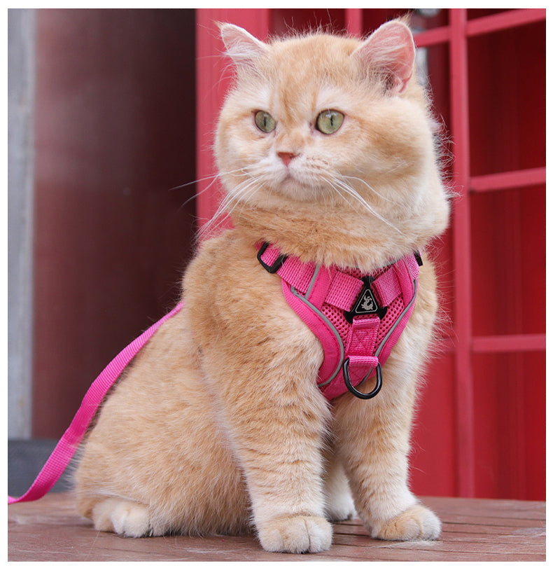 Feather Fit Breathable Pet Harness and Leash Set