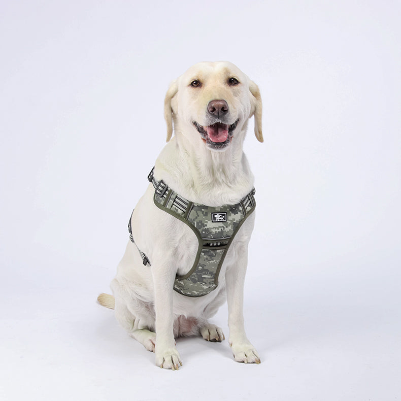 Trail Forge Multi-Use Dog Harness and Leash Set