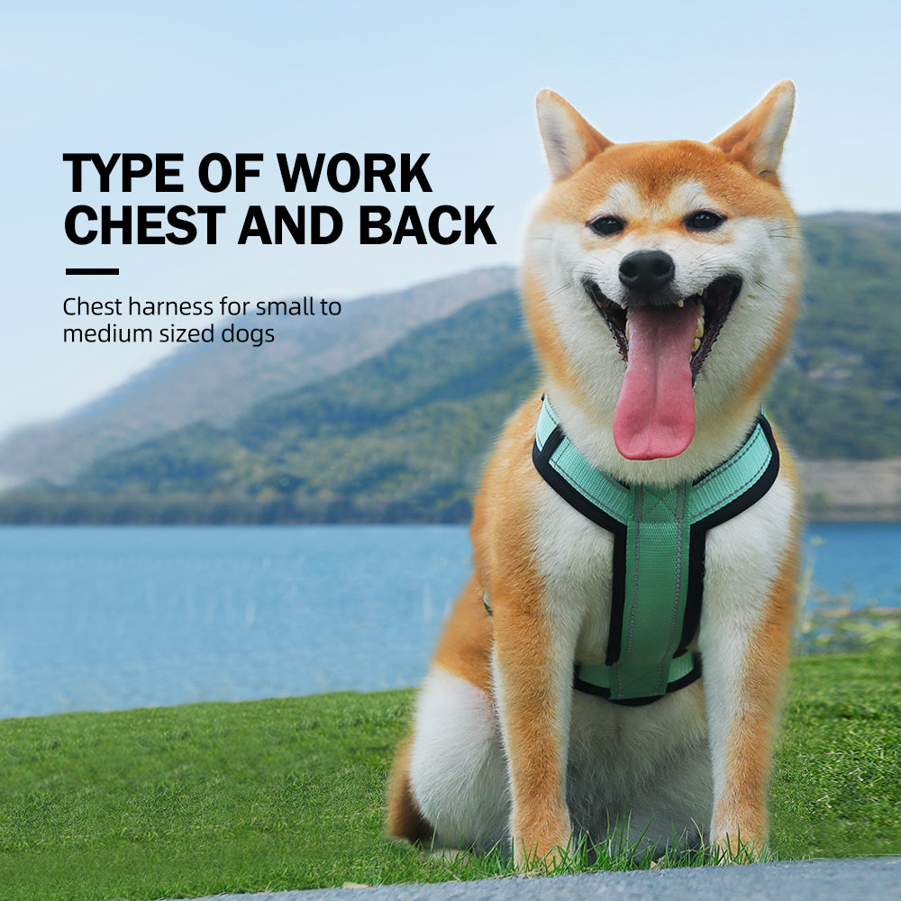 Roam Ready Adjustable Dog Harness and Leash Set