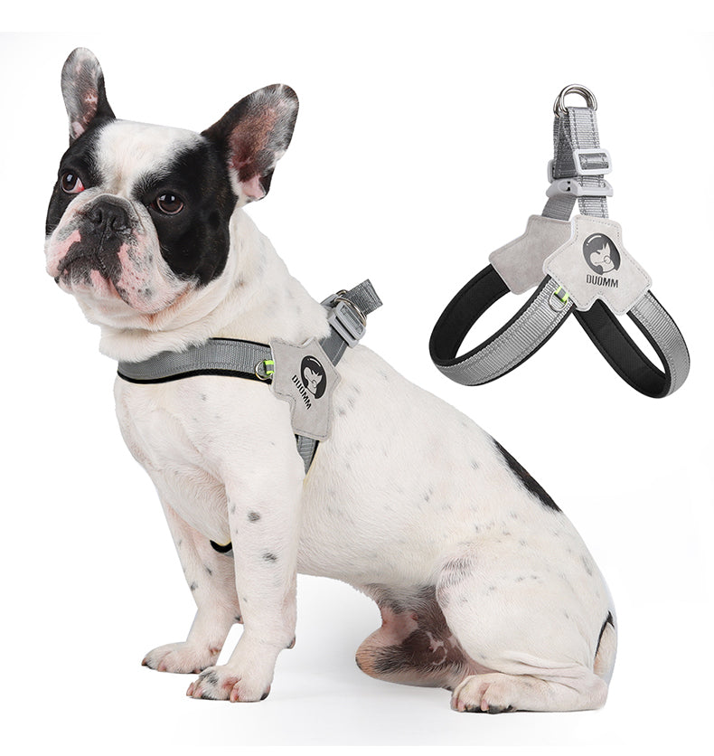 City Halo Reflective Harness & Leash Set