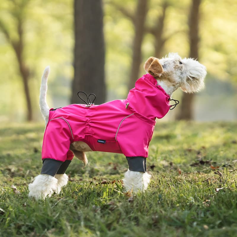 Lightweight Full Coverage Dog Rain Jacket