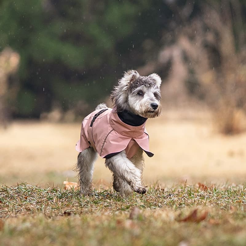 Breathable Dog Adventure Rain Coat