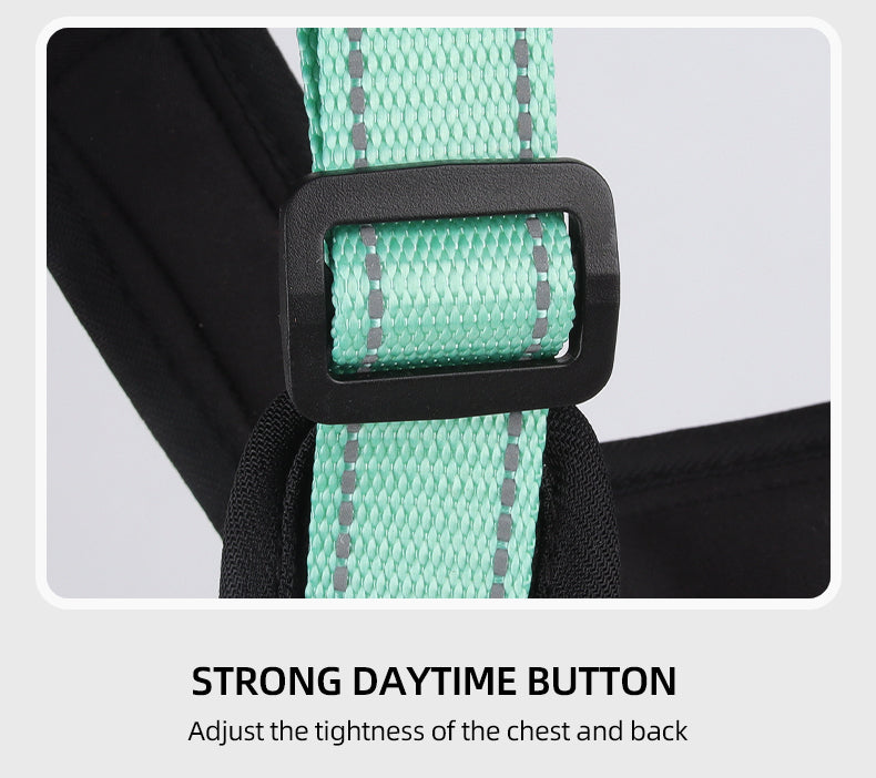 Core Walk Adjustable No-Pull Dog Harness