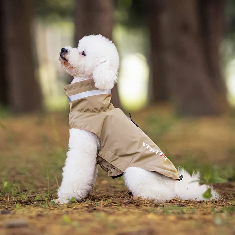 Lightweight Waterproof Dog Outdoor Jacket