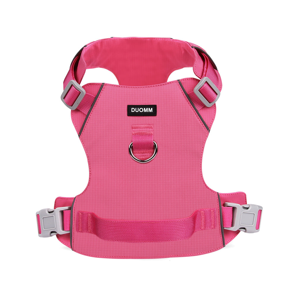 Coast Flow Quick-Dry Dog Harness & Leash Set