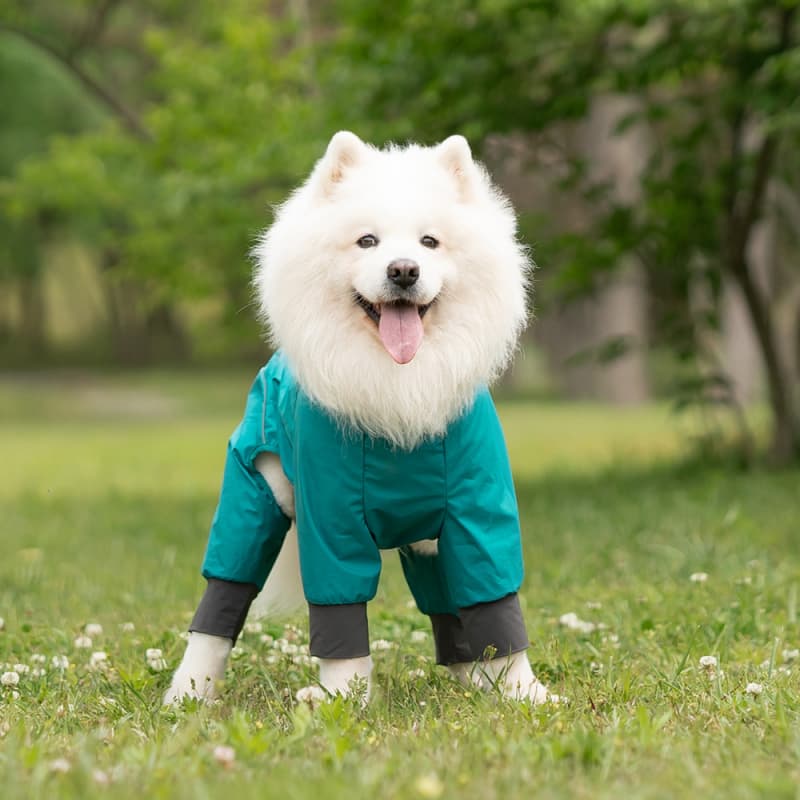 Lightweight Full Coverage Dog Rain Jacket